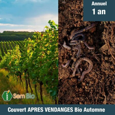 Semence Biologique Mélange enherbement engrais vert Vigne Automne spécial viticulture