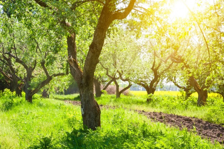 Notre certificateur biologique Bureau Véritas vous parle du bio et de la régleme