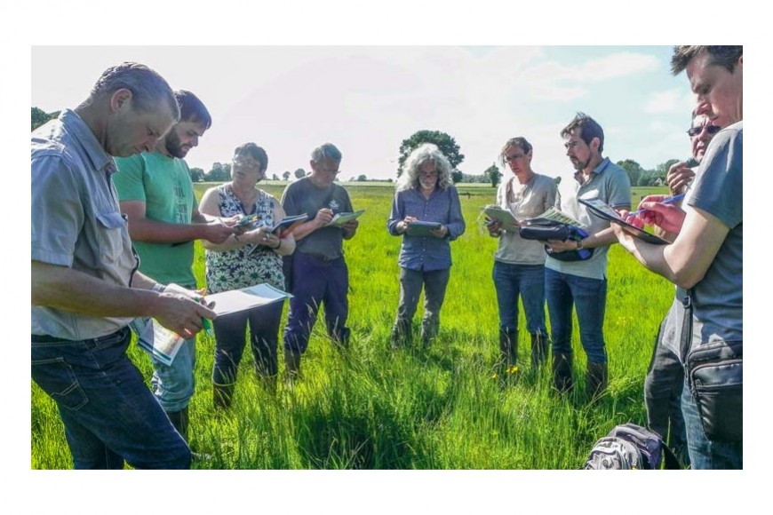 Le concours des prairies fleuries 2018 est lancé