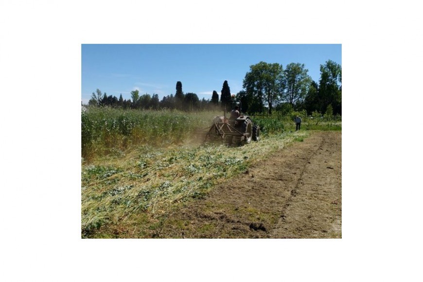 Implanter les cultures dans un mulch végétal