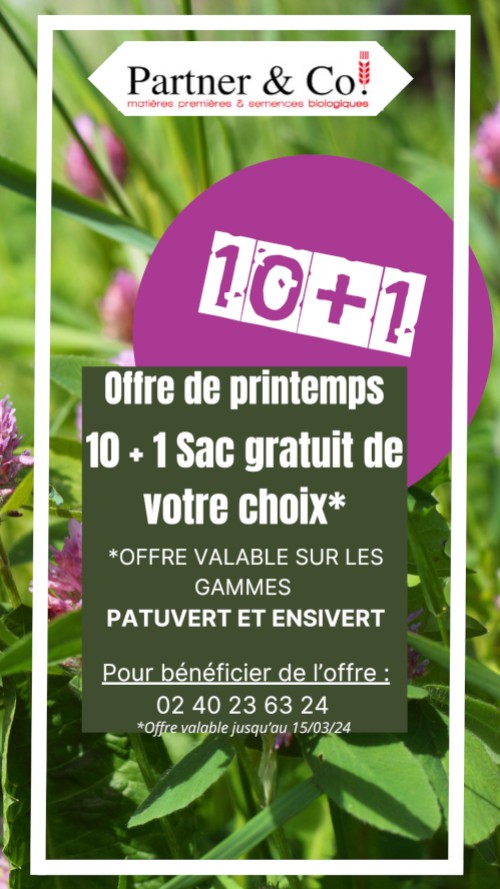 Offre de printemps